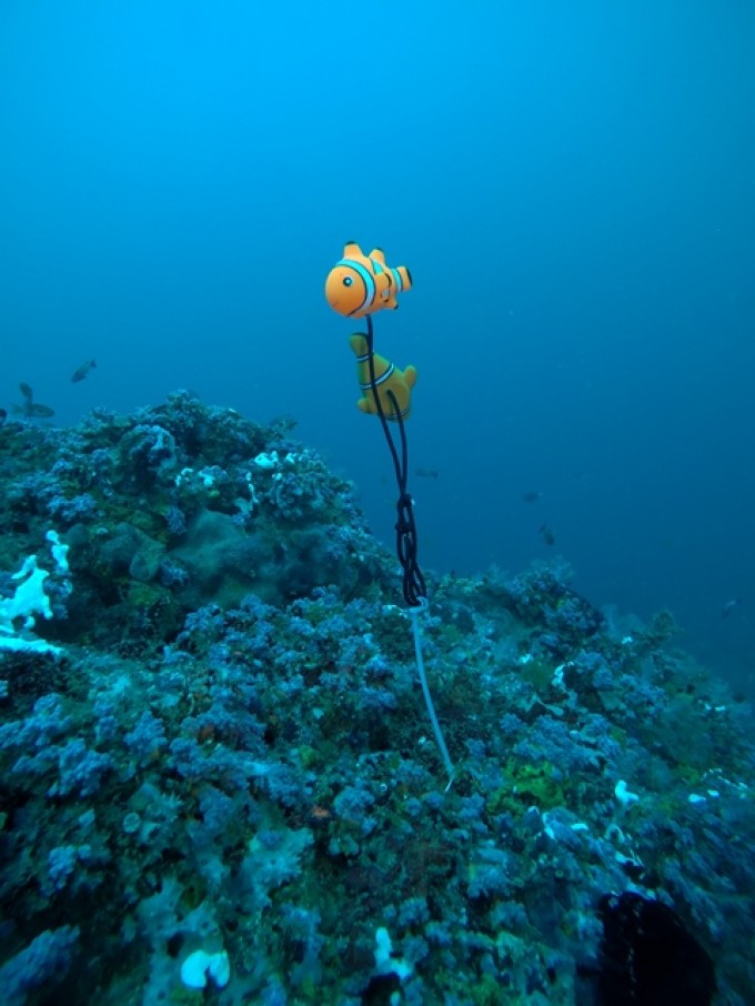 GOPR3673.JPG