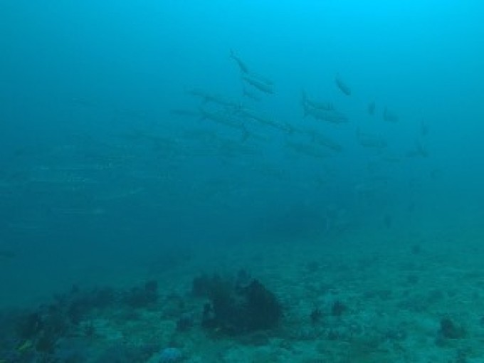 GOPR8112.JPG