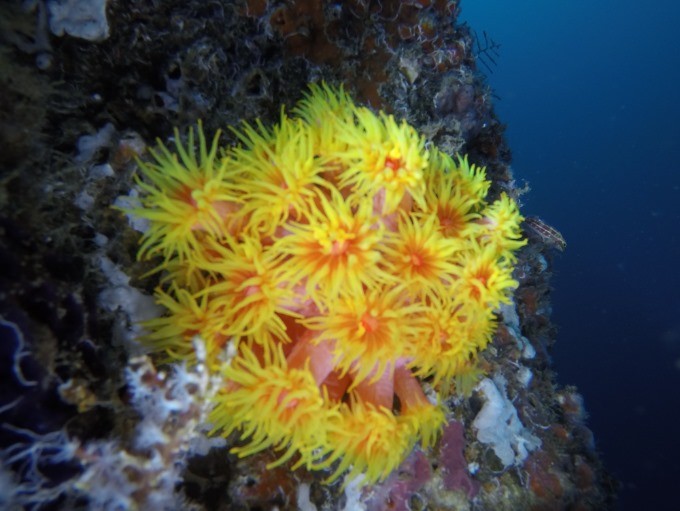 GOPR7413.JPG