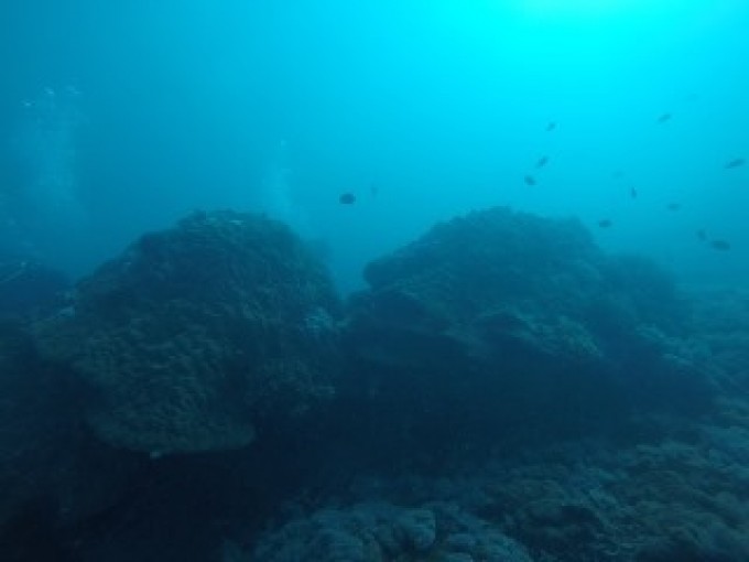 GOPR8073.JPG