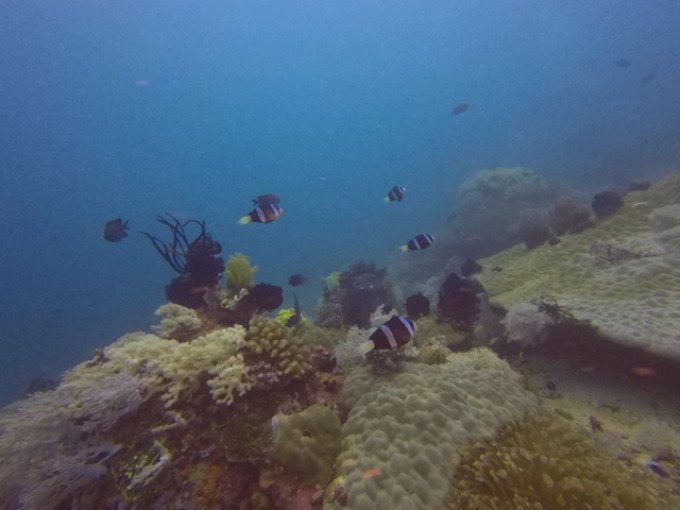 GOPR0338.JPG