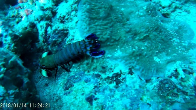 2018_0114_111439_014.MOV_000583123.jpg