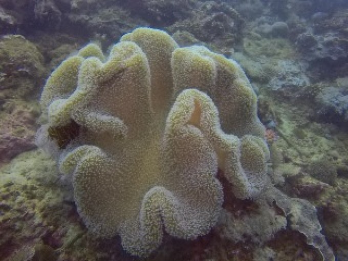 GOPR9557.JPG