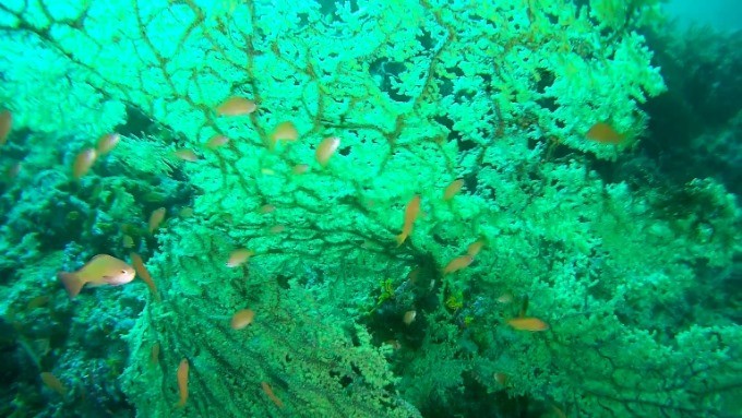 2018_0519_105433_007.MOV_000486205.jpg