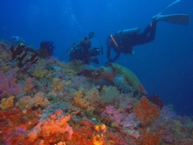 GOPR3719.JPG