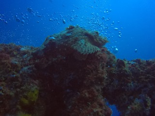 GOPR2425.JPG