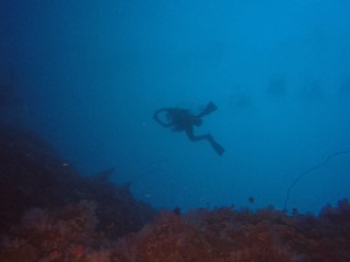 GOPR8125.JPG
