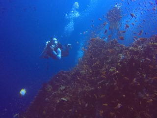 GOPR8628.JPG