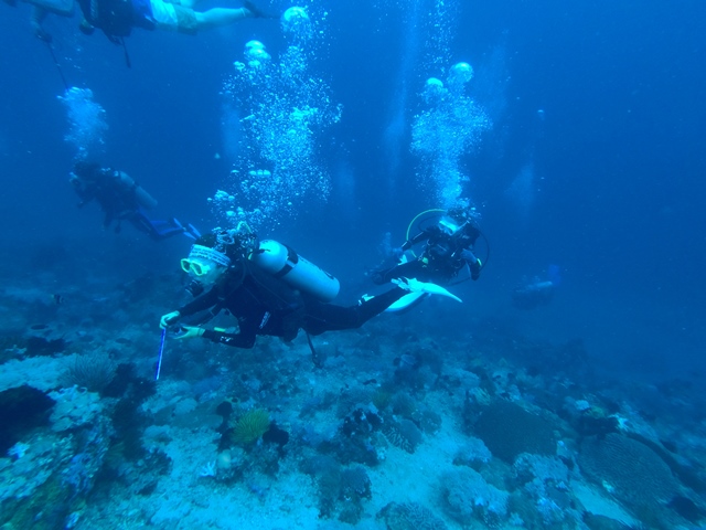 GOPR2513.JPG