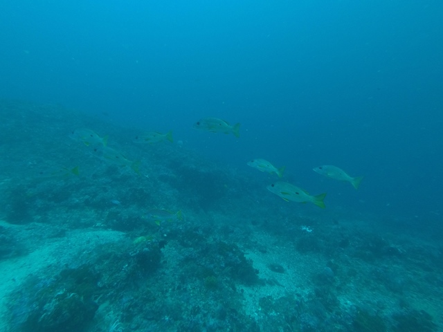 GOPR3046.JPG
