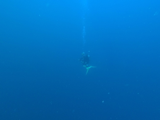 GOPR2959.JPG
