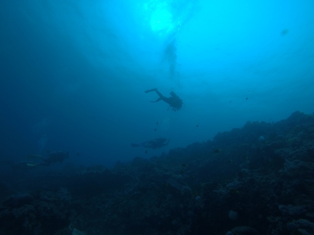 GOPR3459.JPG