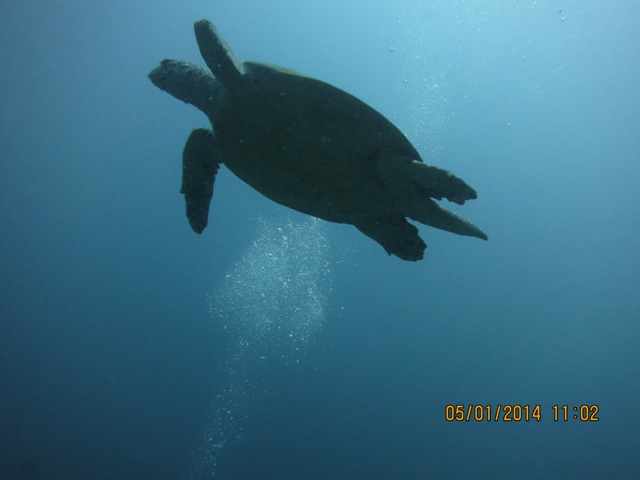IMG_2258.JPG