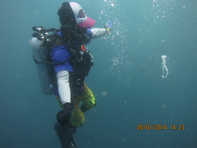 IMG_2362.JPG