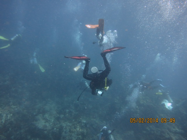 IMG_2501.JPG