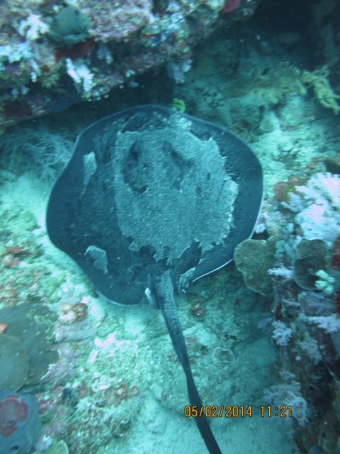 IMG_2595.JPG
