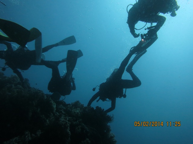 IMG_2597.JPG