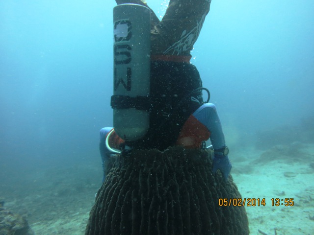 IMG_2696.JPG