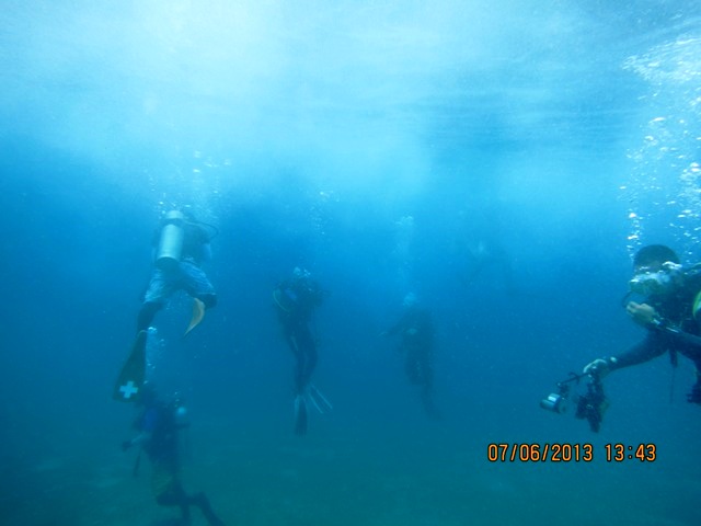 1 (395).JPG