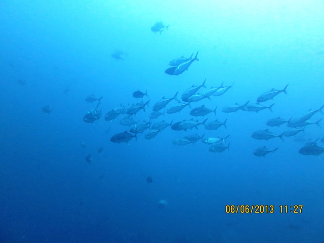 IMG_0184.JPG