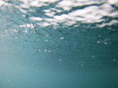 IMG_8035.JPG