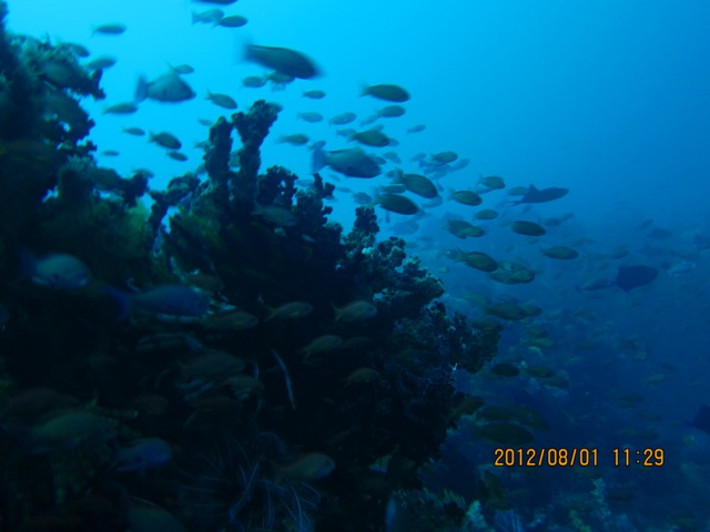 IMG_9171.JPG
