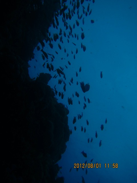 IMG_9226.JPG