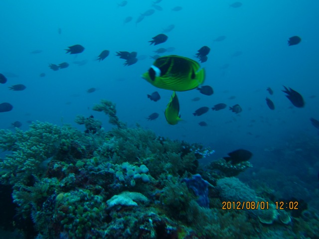 IMG_9242.JPG