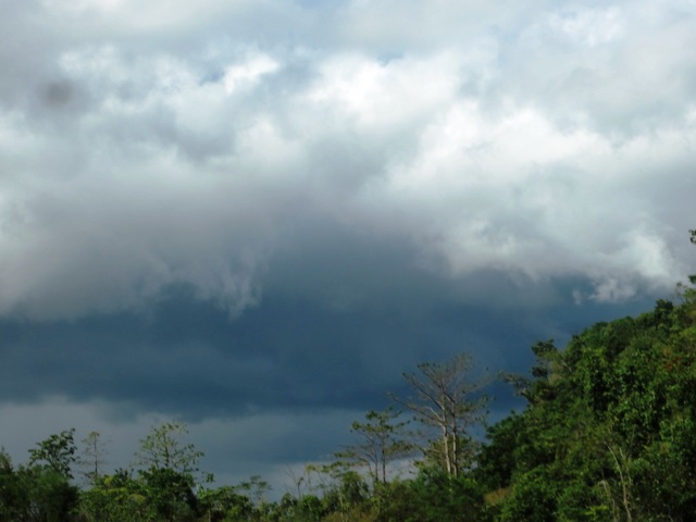 IMG_9708.JPG