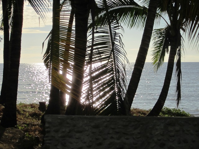 IMG_9723.JPG