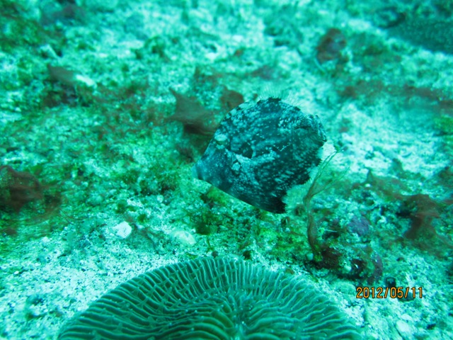 IMG_3514.JPG