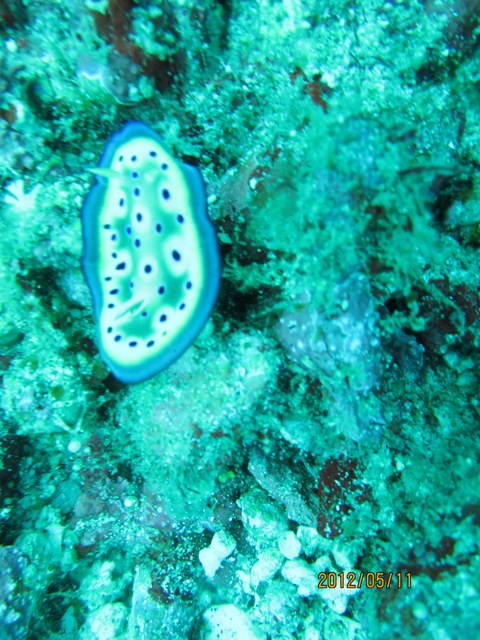IMG_3524.JPG