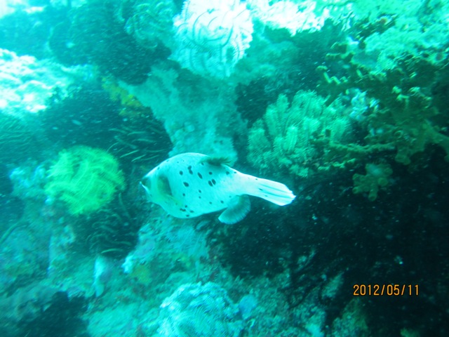 IMG_3548.JPG