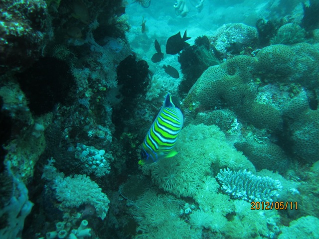 IMG_3574.JPG