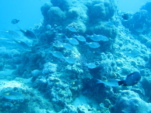 IMG_4050.JPG