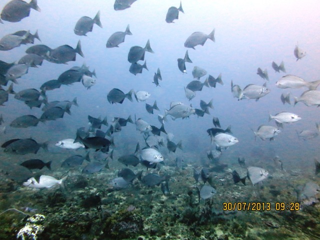 IMG_0089.JPG