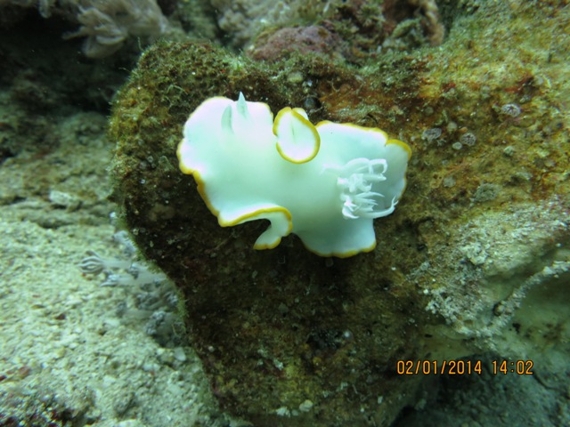 IMG_1835.JPG