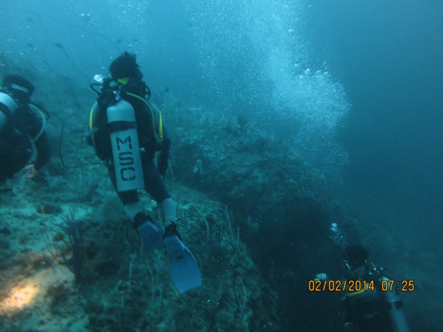 IMG_1911.JPG