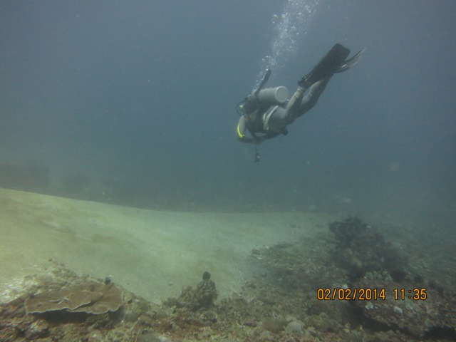 IMG_2020.JPG