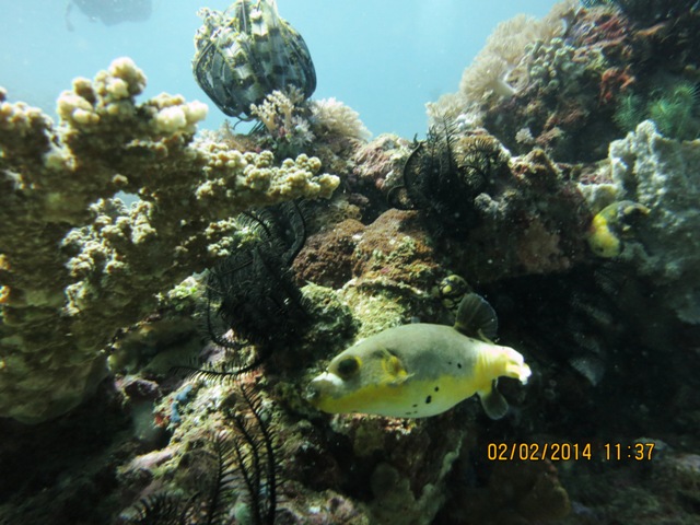 IMG_2025.JPG