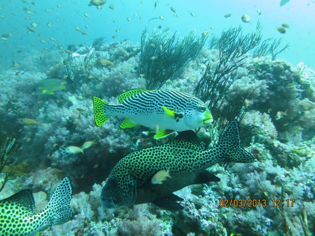 IMG_0237.JPG