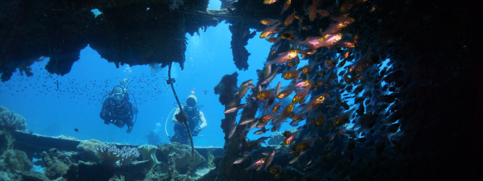 msc_8 (7).JPG